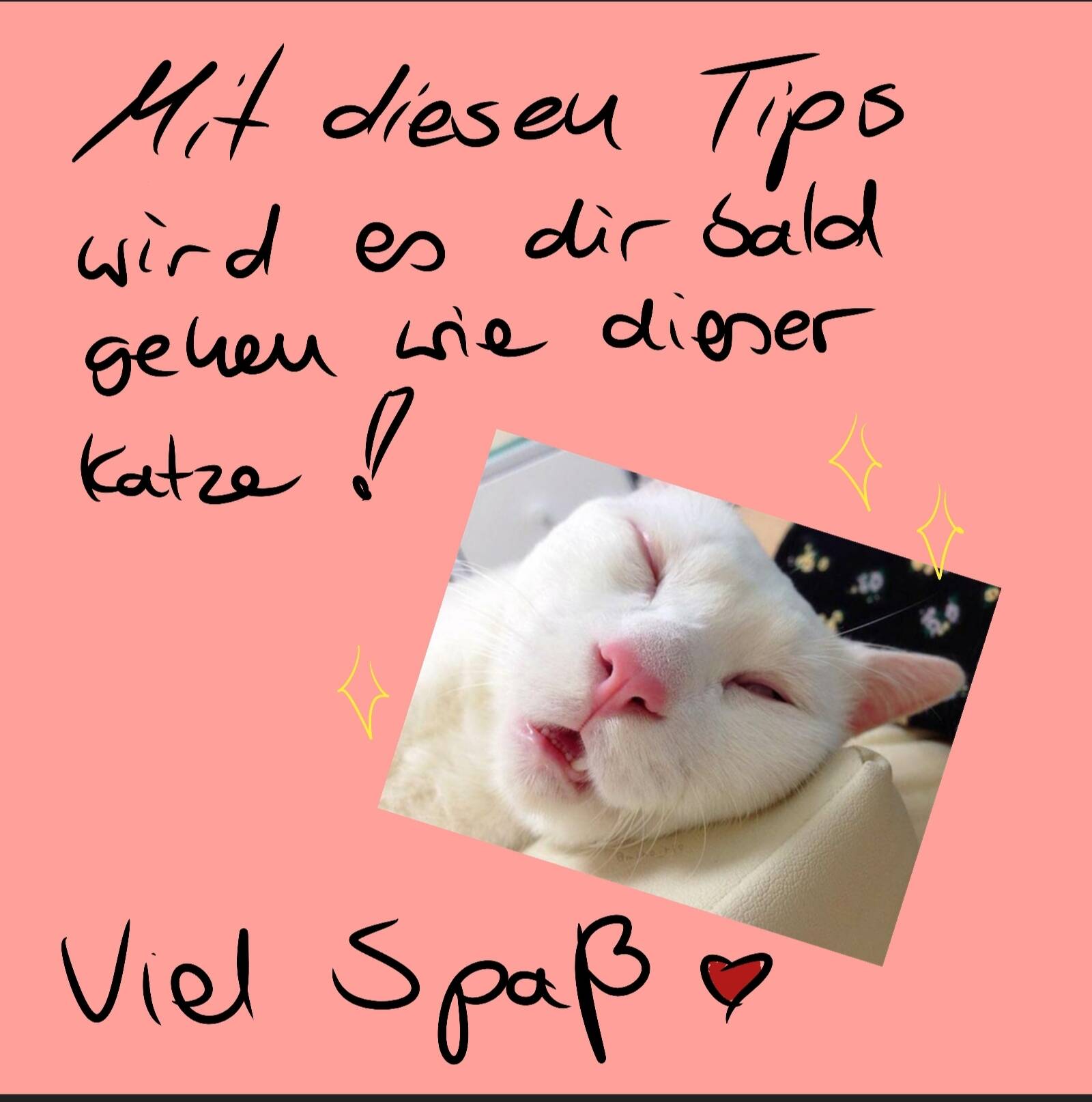 Schlafstipendium